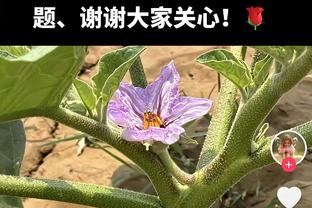 下山的神！保罗本赛季场均9.2分6.8助 生涯首次替补&多项数据新低